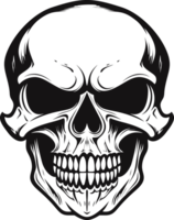 Human Skull Illustration png