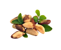 Brazil Nuts png