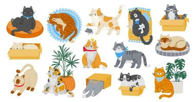 Cartoon cute pet cats character. Different kitten activities, playing with toys, sleeping on rugs and relaxing in boxes isolated on white background. Vector set