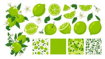 Cartoon limes. Sour lime slices, blossom and leaves on branches. Green citrus fruit seamless texture patterns vector illustration set
