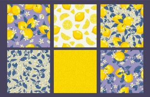 Lemons texture pattern. Yellow lemon peel, blossom on branches and sliced fruits seamless vector background set