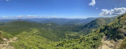 Mountain landscape with forest in the Carpathian mountains of Ukraine. photo