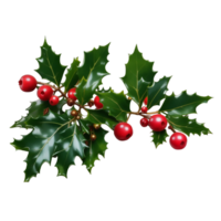 Holly leaves and berries Ai Generative png