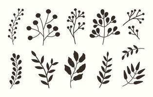 Set of different black silhouette branches with leaves, rowan berries isolated on a white background. Vector illustration