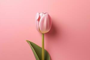 rosado tulipán con salir en un rosado antecedentes de cerca con Copiar espacio ai generado, ai generativo foto