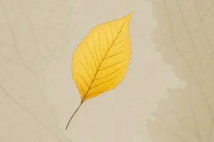 a yellow leaf on a brown background photo