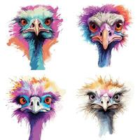 cartoon style  ostrich vector