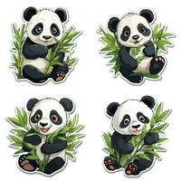 sticker panda eating bamboo vector