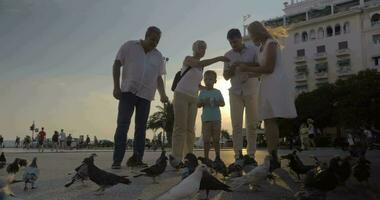 Family feeding pigeons in the street at sunset video