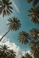 azul cielo y palma arboles ver desde abajo, Clásico estilo, tropical playa y verano fondo, viaje concepto. ai generado foto