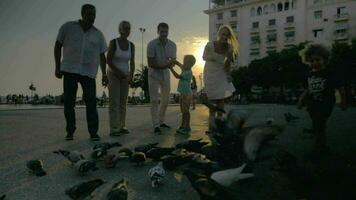 famille et troupeau de pigeons dans le rue à le coucher du soleil video