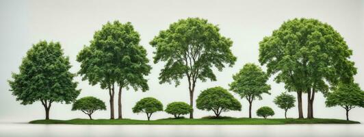 Set of green trees isolated on white background. Different kinds of tree collection. AI generated photo