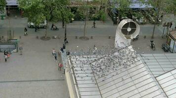 un genial número de palomas volador alrededor cuadrado en París video