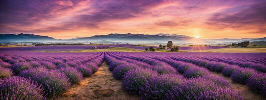 Stunning landscape with lavender field at sunset. AI generated photo