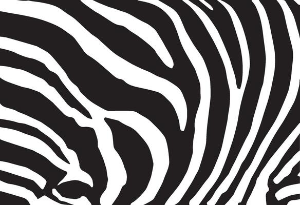 Abstract background skin of a zebra, white and black color