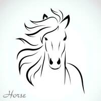 vector de caballo cabeza diseño en blanco antecedentes. animal. caballo símbolo. fácil editable en capas vector ilustración.