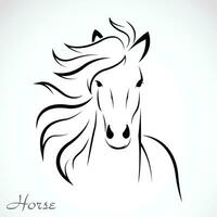 Vector of horse head design on white background. Animal. Horse symbol. Easy editable layered vector illustration.