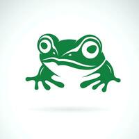 Vector of frog design on a white background. Amphibian. Animals. Easy editable layered vector illustration.