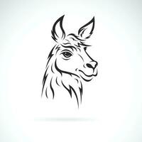 vector de un llama cabeza diseño en blanco antecedentes. fácil editable en capas vector ilustración. salvaje animales