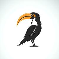 Vector of a hornbill design on white background. Bird. Wild Animals.