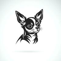 vector de un chihuahua perro diseño en negro antecedentes. mascota. animales