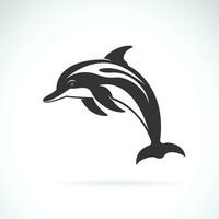 Vector of a dolphin design on white background. Easy editable layered vector illustration. Sea Animals