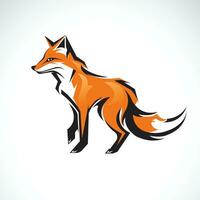 Vector of a fox design on white background. Wild Animals.