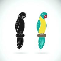 Vector of two parrot design on white background. Easy editable layered vector illustration. Animals. Pet.