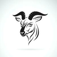 Vector of goat head on white background. Wild Animals. Easy editable layered vector illustration.