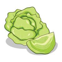 Cartoon Ripe Cabbage with Half Slice Cabbage vector