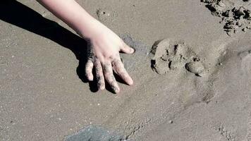 Children's hands playing with holes in the sand happening on the beach video