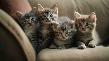 un grupo de adorable gatitos abrazado arriba juntos foto