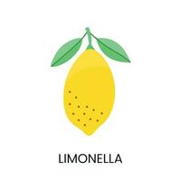 Limonella vector illustration conveying juiciness and vibrant color. Ideal for fresh and lively designs