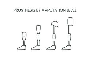 Leg prosthesis line vector icon. Amputation rate.