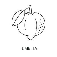 Limetta citrus fruit, line icon in vector to indicate on food packaging about the presence of this allergen