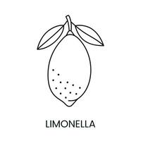 agrios Fruta limonella o limecuat, línea icono en vector a indicar en comida embalaje acerca de el presencia de esta alergeno