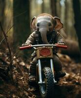 un linda bebé elefante en un mini bicicleta montando mediante un bosque foto