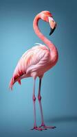 Exotic pink flamingo bird closeup photo