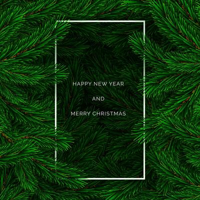 Happy New Year Banner. Fir branch backdrop with white frame. Christmas decoration element. Green colorful pine pattern. New Year tree branches background. Vector illustration