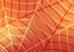 Orange web spider line abstract geometric connection network background vector