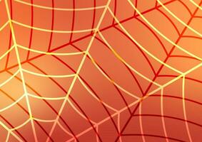 Orange web spider line abstract geometric connection network background vector