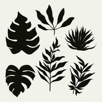 sillhouette tropical flower leaves white background vector