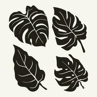 sillhouette tropical flower leaves white background vector