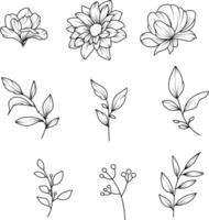 Vector collection of hand drawn plants. Botanical set of sketch flowers and branches.