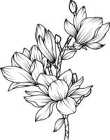 Magnolia Flower. sketch with black and white line art of magnolia flowers. vector