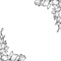 magnolia flower frame, magnolia flower sketch vector