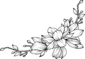 Magnolia Flower. sketch with black and white line art of magnolia flowers. vector