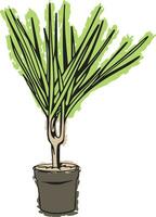 Hand Drawn house plant vector