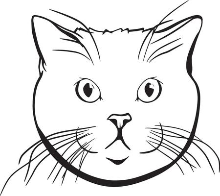 Cat Face Outline Vector Art, Icons, and Graphics for Free Download