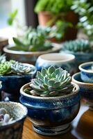 ceramic containers with succulents on the table, with generative Ai. photo